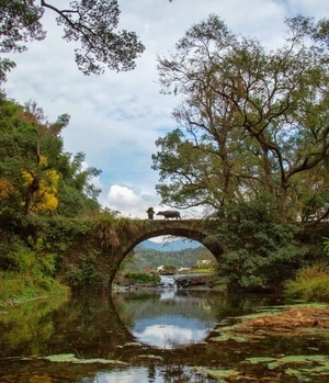 摄影-风光-风景-河流-河水 图片素材