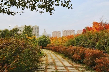 你好2020-宅家-武汉加油-道路-小路 图片素材