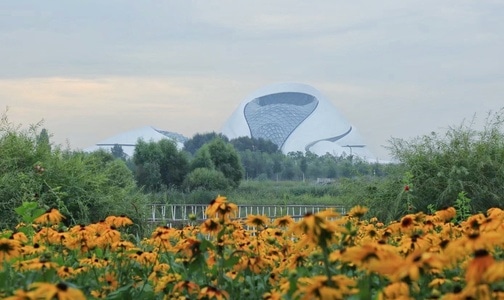 你好2020-宅家-武汉加油-建筑-场馆 图片素材