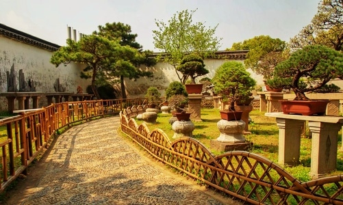 摄影-风光-风景-庭院-石子路 图片素材