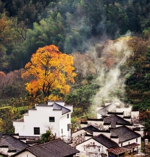 摄影-风光-风景-房屋-村落 图片素材