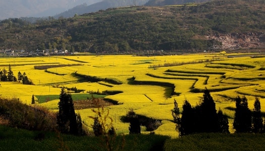 旅行-风景-风光-风景-自然 图片素材