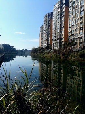 随拍-旅行-手机-水池-池塘 图片素材