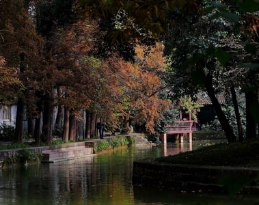 旅行-纪实-随拍-风景-池塘 图片素材