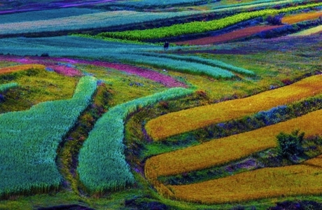 张北-1号公路-风景-风光-草地 图片素材