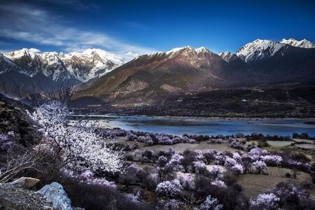 雅鲁藏布江-南迦巴瓦峰-桃花-风光-风景 图片素材