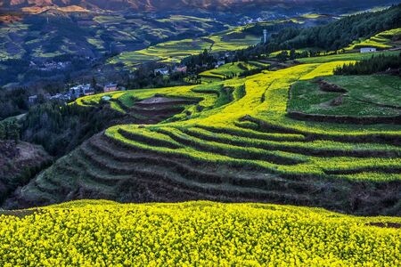 罗平-马街-自然-风景-风光 图片素材