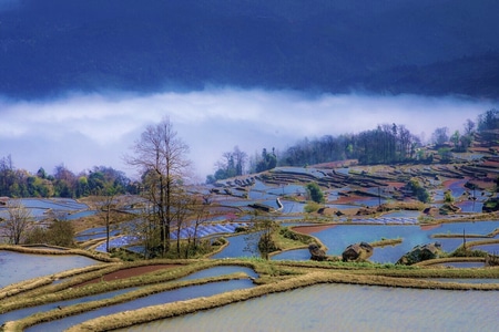 风光-元阳梯田-湖-元阳梯田-风景 图片素材