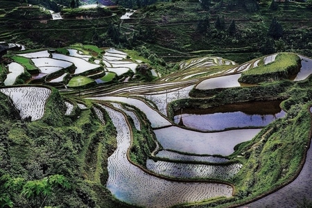 贵州-加榜梯田-风景-梯田-加榜梯田 图片素材