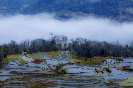 风光-元阳-湖-风景-风光 图片素材