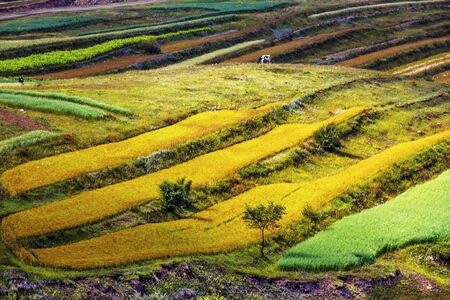 张北-1号公路-风景-农田-田野 图片素材