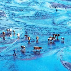 风光-旅行-泳池-游泳帽-风景 图片素材