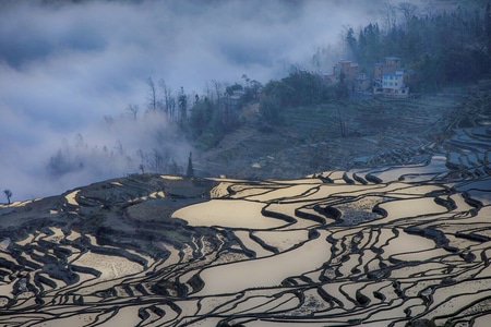 元阳-梯田-风景-风光-自然 图片素材