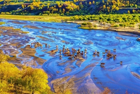 风光-坝上-小河-风景-风光 图片素材