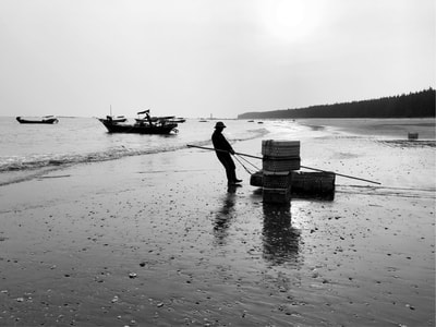 劳作-海边-海滩-捕鱼-渔民 图片素材