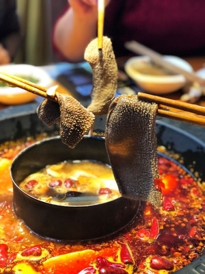 火锅-毛肚-美食-手机摄影-我和我的祖国手机摄影大赛 图片素材