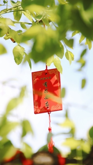 色彩-锁屏-桌面-光影-牌子 图片素材