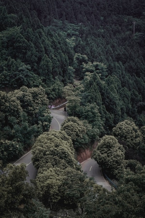 绿色地球-人间百味-生活中的小美好-道路-公路 图片素材