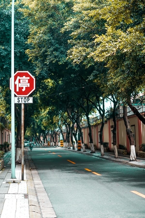 风光-旅行-生活中的小美好-街拍-街道 图片素材