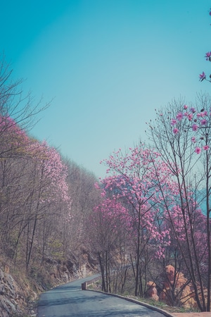 合成-街拍-旅游-人间百味-我的2019 图片素材