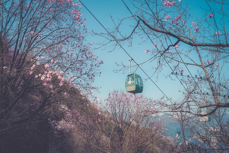 合成-街拍-旅游-人间百味-我的2019 图片素材