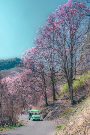 合成-街拍-旅游-人间百味-我的2019 图片素材