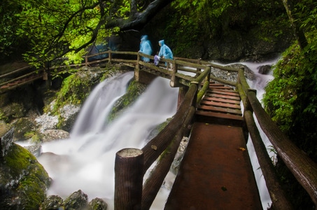 青城后山-成都-旅游-抓拍-尼康 图片素材