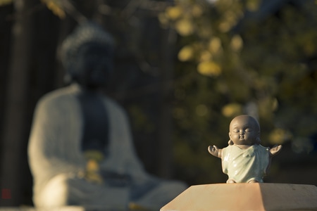 千年银杏树-百塔寺-小沙弥-佛教-美女 图片素材