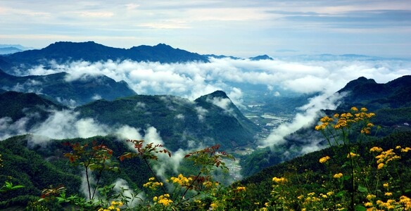 长宁-摄影-雾-风景-风光 图片素材