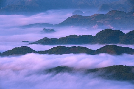 长宁县-风景-摄影-大自然-雾 图片素材