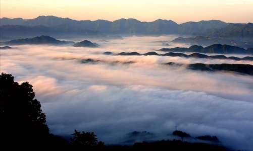 长宁县-尘世烟火-摄影-风景-雾 图片素材