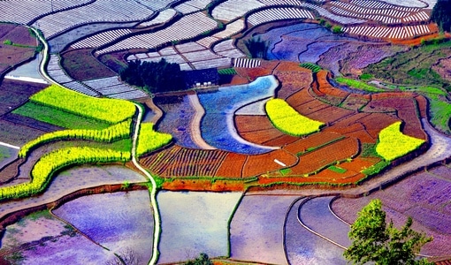 大自然-风景-摄影-长宁县-田 图片素材