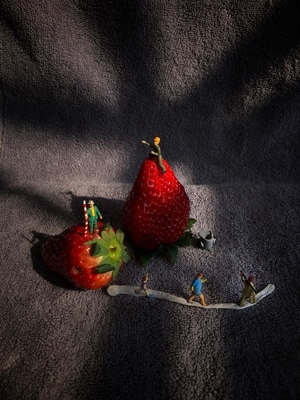 微观世界-你好2020-宅家-草莓-玩具 图片素材