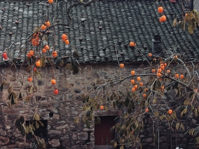 艺术摄影-风光-色彩-建筑-房屋 图片素材