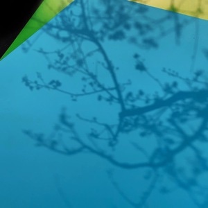 艺术摄影-创意-卡纸-蓝纸-树枝 图片素材
