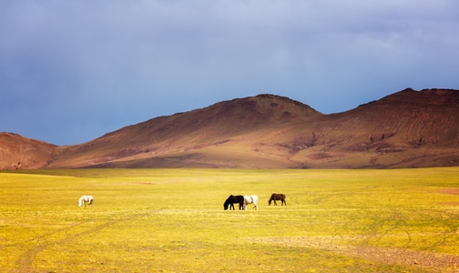 藏地-高原-风光-旅行-风景 图片素材