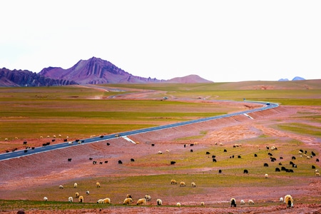 高原-自然-旅行-风光-风景 图片素材
