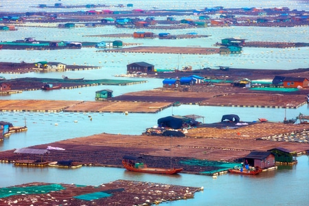 旅行-自然-风光-霞浦-滩涂 图片素材