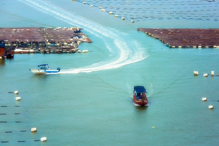 旅行-自然-风光-霞浦-滩涂 图片素材