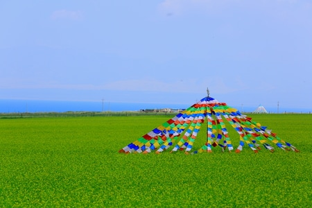 风光-旅行-藏地-风景-经幡 图片素材