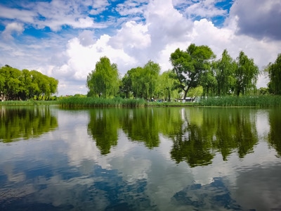 哈尔滨市-湿地-湖-湖水-湖面 图片素材