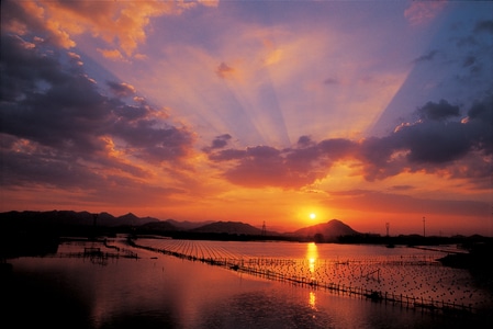 氛围-抓拍-夏天-浙江-扫街 图片素材