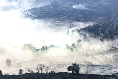 雾中梯田-梯田-风景-自然-雾 图片素材