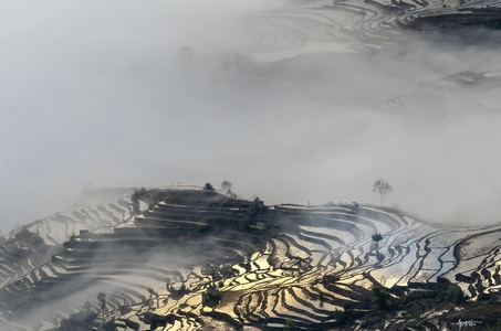 梦幻梯田-风景-梯田-自然-水田 图片素材