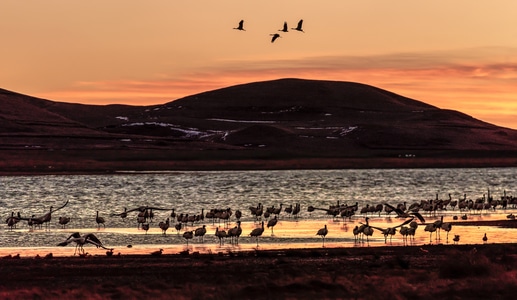 大山包黑颈鹤自然保护区-自然-风景-风光-自然风光 图片素材