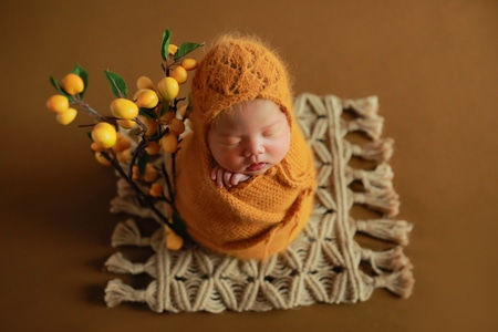 新生儿-创意-假发-新生儿-婴儿 图片素材