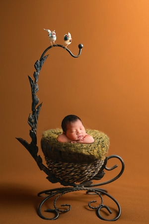 新生儿-创意-人像-新生儿摄影-摇篮 图片素材