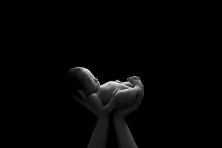 新生儿摄影-人像-我的2019-黑白-家居物品 图片素材