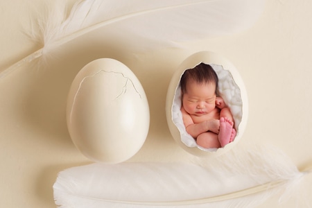 创意-新生儿-室内-新生儿-婴儿 图片素材