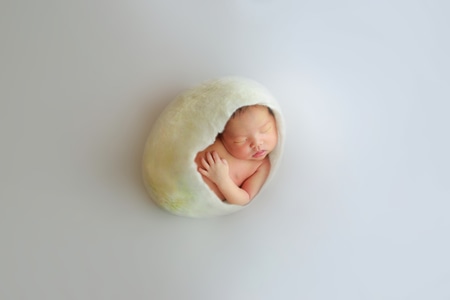 创意-新生儿摄影-新生儿-人像-我的2019 图片素材